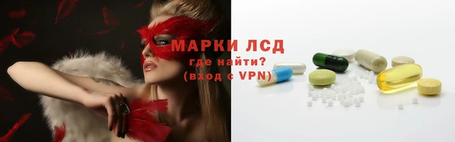 стаф Зеленодольск
