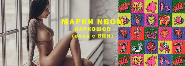 дмт Зерноград