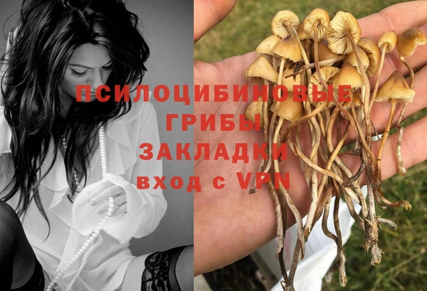 дмт Зерноград